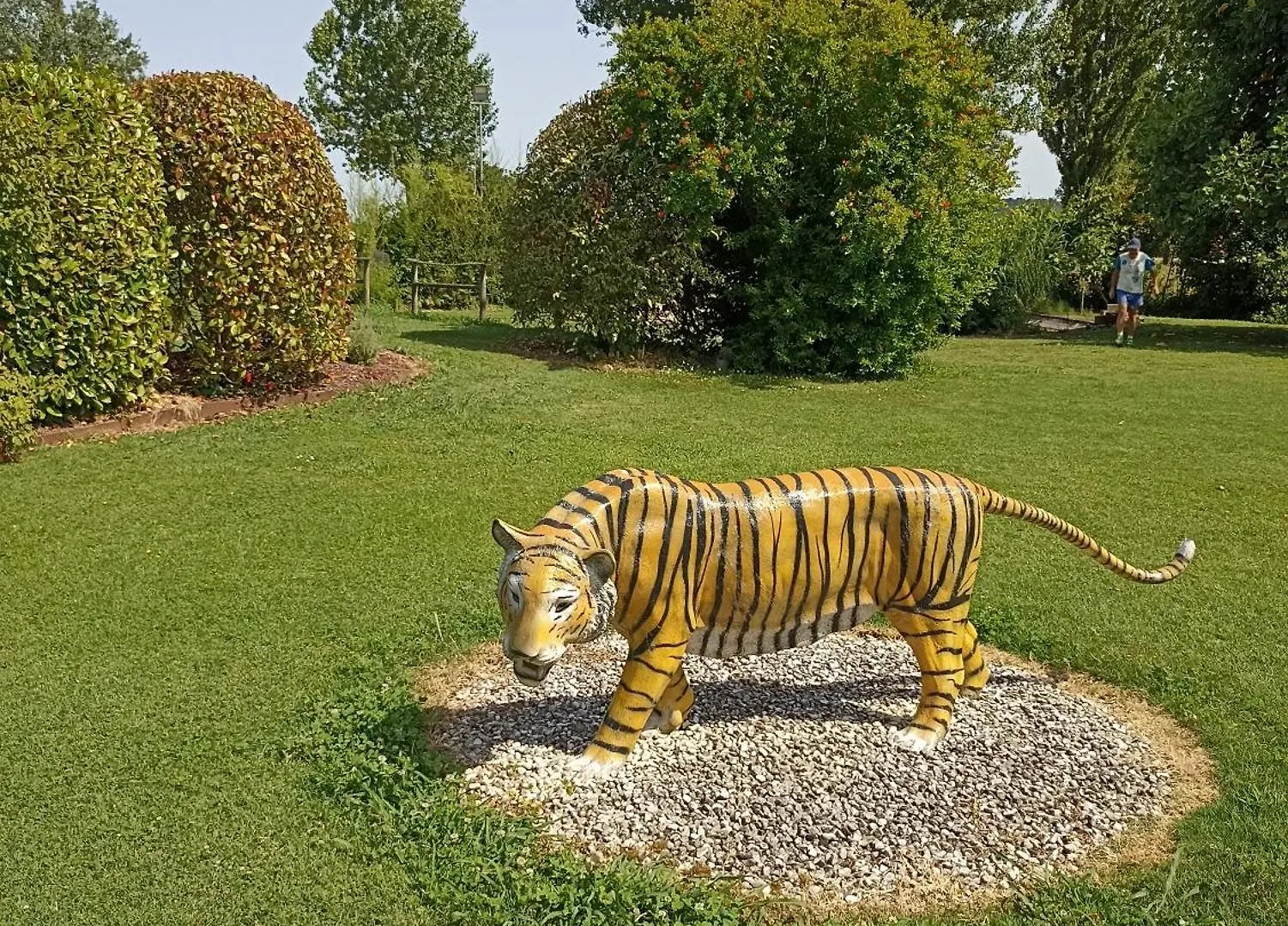 Piscina Privata Tiger Home, Toscana Capannori